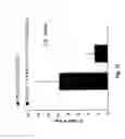 Fig. 26 - IMMUNOMODULATING COMPOSITIONS COMPRISING INTERLEUKIN 13 INHIBITORS AND USES THEREFOR