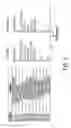 Fig. 06 - Phosphopeptides as melanoma vaccines