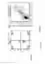 Fig. 07 - Somatic stem cells