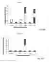 Fig. 13 - Antigen specific multi epitope-based anti-infective vaccines