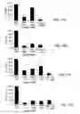 Fig. 16 - Antigen specific multi epitope-based anti-infective vaccines
