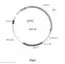 Fig. 03 - system and uses thereof