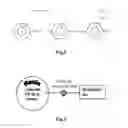 Fig. 05 - system and uses thereof