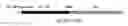 Fig. 01 - Gene expressing a bifidobacterium surface-presented fusion protein