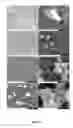 Fig. 05 - Generation of novel bone forming cells (monoosteophils) from LL-37 treated monocytes