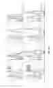 Fig. 17 - Generation of novel bone forming cells (monoosteophils) from LL-37 treated monocytes