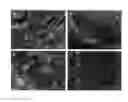 Fig. 01 - Methods and apparatus for manufacturing plasma based plastics and bioplastics produced therefrom