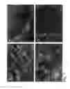 Fig. 02 - Methods and apparatus for manufacturing plasma based plastics and bioplastics produced therefrom