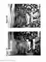 Fig. 04 - Solid forms for tissue repair