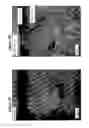 Fig. 05 - Solid forms for tissue repair