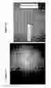 Fig. 06 - Solid forms for tissue repair