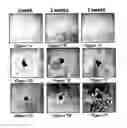 Fig. 08 - Solid forms for tissue repair