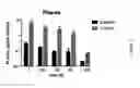 Fig. 04 - MEDICAL USE OF SPLA2 HYDROLYSABLE LIPOSOMES