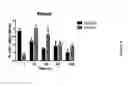 Fig. 07 - MEDICAL USE OF SPLA2 HYDROLYSABLE LIPOSOMES