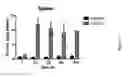 Fig. 08 - MEDICAL USE OF SPLA2 HYDROLYSABLE LIPOSOMES