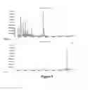 Fig. 08 - Inhibitor of inflammatory conditions
