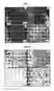 Fig. 05 - Compositions and methods for increasing lifespan and health span