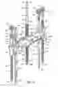 Fig. 13 - Apparatus for preparing food, particularly fruit