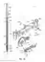 Fig. 14 - Apparatus for preparing food, particularly fruit
