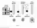 Fig. 02 - Biopolymer Encapsulation and Stabilization of Lipid Systems and Methods for Utilization Thereof