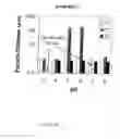 Fig. 07 - Biopolymer Encapsulation and Stabilization of Lipid Systems and Methods for Utilization Thereof