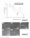 Fig. 09 - In-situ identification and control of microstructures produced by phase transformation of a material