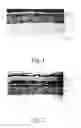 Fig. 02 - CORROSION-RESISTANT LAYERED COATINGS