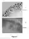Fig. 02 - PAD PRINTING METHOD FOR MAKING COLORED CONTACT LENSES