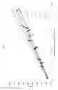 Fig. 08 - BALLISTIC MATERIALS