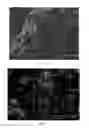 Fig. 05 - Nanostructured composite reinforced material