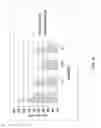 Fig. 09 - Simple adhesive coacervates and methods of making and using thereof
