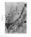 Fig. 05 - Multi-scale cermets for high temperature erosion-corrosion service
