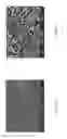 Fig. 04 - Whisker-Free Coating Structure and Method for Fabricating the Same
