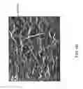 Fig. 06 - Whisker-Free Coating Structure and Method for Fabricating the Same