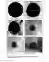 Fig. 05 - High melt temperature microporous lithium-ion rechargeable battery separators and methods of preparation and use