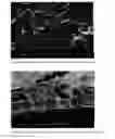 Fig. 07 - High melt temperature microporous lithium-ion rechargeable battery separators and methods of preparation and use