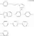 Fig. 24 - CATALYST COATED MEMBRANE FOR FUEL CELL, MEMBRANE AND ELECTRODE ASSEMBLY (MEA) INCLUDING SAME, METHOD OF MANUFACTURING THE MEA, AND FUEL CELL INCLUDING THE MEA