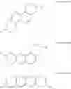 Fig. 45 - CATALYST COATED MEMBRANE FOR FUEL CELL, MEMBRANE AND ELECTRODE ASSEMBLY (MEA) INCLUDING SAME, METHOD OF MANUFACTURING THE MEA, AND FUEL CELL INCLUDING THE MEA