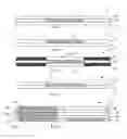 Fig. 02 - Method of making holographic recording materials and articles formed thereby