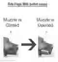 Fig. 01 - Windowed Muzzle to Facilitate Oral Inspection