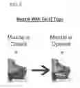 Fig. 06 - Windowed Muzzle to Facilitate Oral Inspection