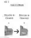 Fig. 07 - Windowed Muzzle to Facilitate Oral Inspection