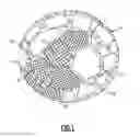 Fig. 02 - Dental articles using nanocrystalline materials
