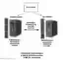 Fig. 01 - RESPONSE SCORING SYSTEM FOR VERBAL BEHAVIOR WITHINA BEHAVIORAL STREAM WITH A REMOTE CENTRAL PROCESSINGSYSTEM AND ASSOCIATED HANDHELD COMMUNICATING DEVICES