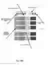 Fig. 57 - RESPONSE SCORING SYSTEM FOR VERBAL BEHAVIOR WITHINA BEHAVIORAL STREAM WITH A REMOTE CENTRAL PROCESSINGSYSTEM AND ASSOCIATED HANDHELD COMMUNICATING DEVICES