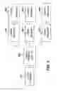 Fig. 03 - METHOD OF APPARATUS FOR AUTOMATICALLY ELICITING HEALTH RELATED INFORMATION AND ELECTION OF A WELLNESS PROGRAM