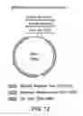 Fig. 10 - Thermal calibration