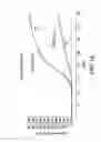 Fig. 11 - Thermal calibration