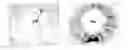 Fig. 01 - Specific marker Lmx1a on dopaminergic neurons