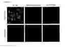Fig. 07 - Reductive release probes containing a chemoselectively cleavable α-azidoether linker and methods of use thereof